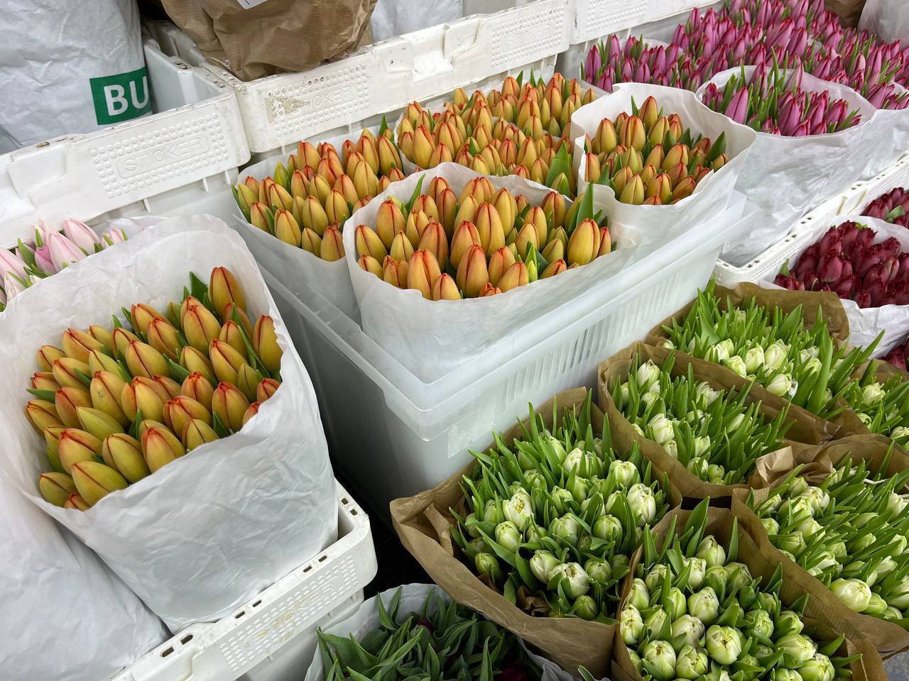 🌷Где купить тюльпаны по оптовой цене?
🌷Компания Flavomarketодин из ведущих импортеров цветов приглашает посетить новый складпо адресу: 1-я Рыбинская ул.1с4 | Сетка — социальная сеть от hh.ru
