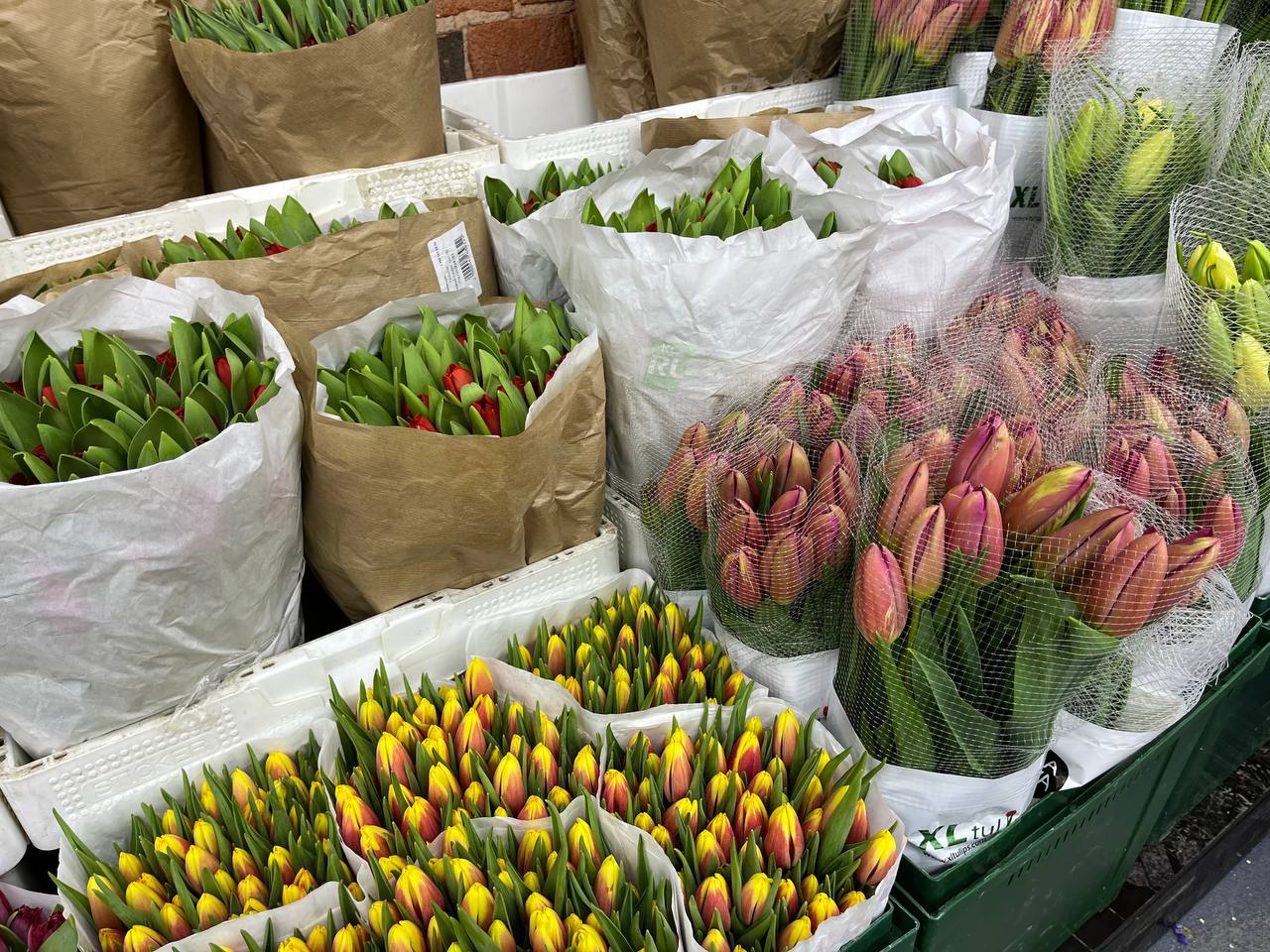 🌷Где купить тюльпаны по оптовой цене?
🌷Компания Flavomarketодин из ведущих импортеров цветов приглашает посетить новый складпо адресу: 1-я Рыбинская ул.1с4 | Сетка — социальная сеть от hh.ru