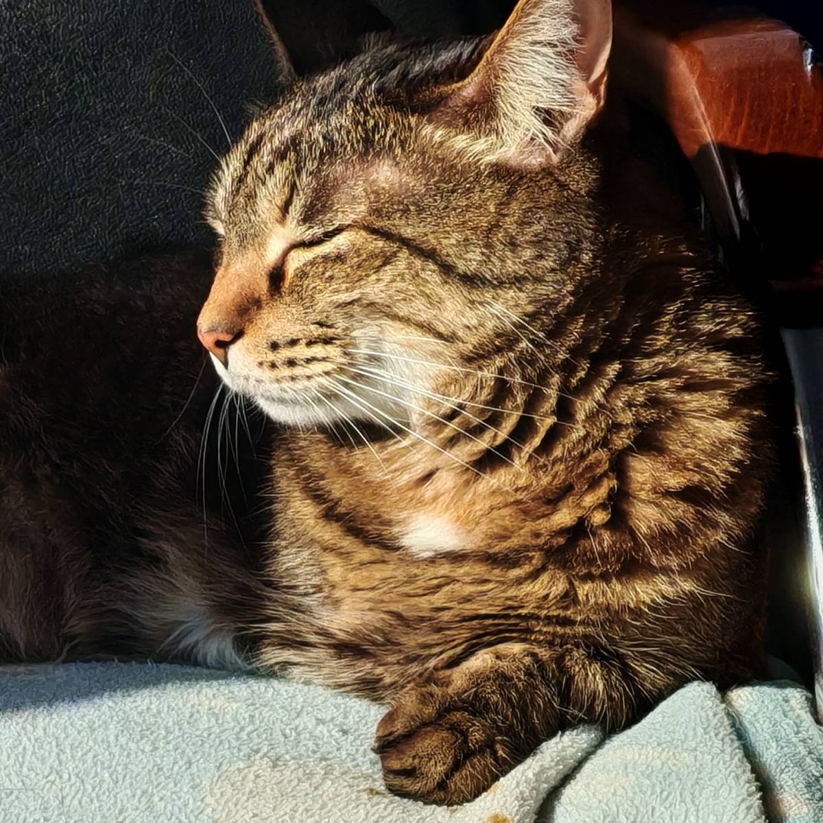 Саша Отажонова