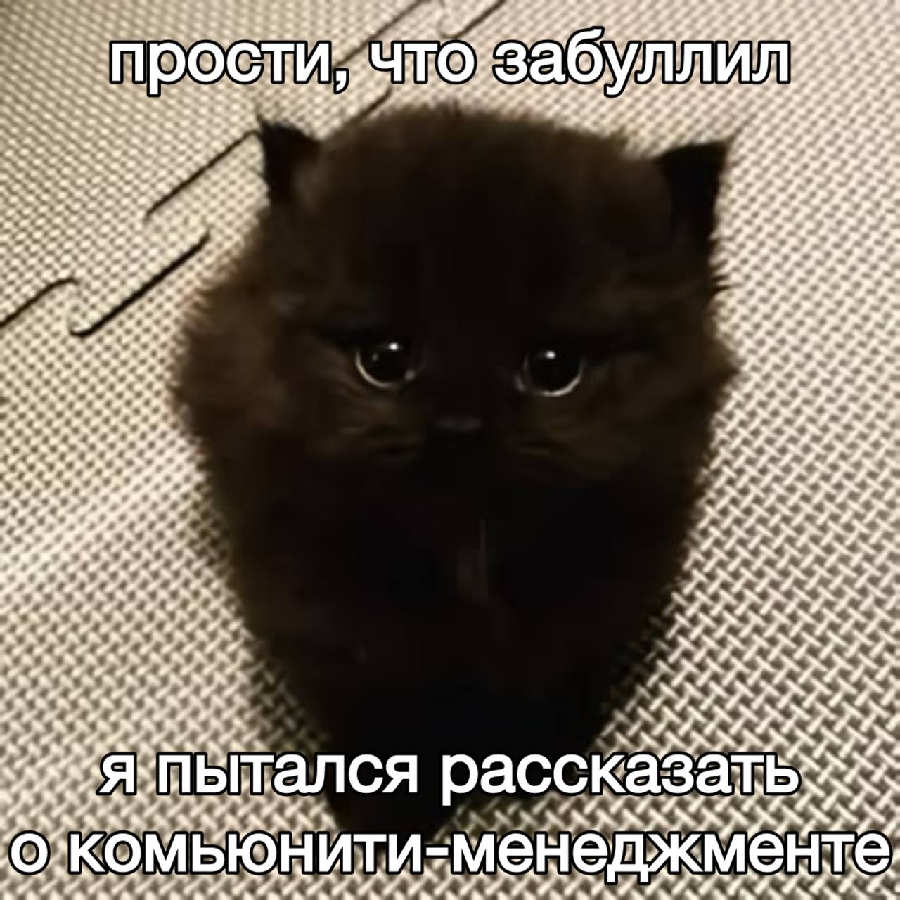 📚 22 полезности для работы с сообществами
Нашел у Brian Oblinger страничку из 22 двух полезных материалов, фреймворков и табличек по управлению сообществами | Сетка — социальная сеть от hh.ru