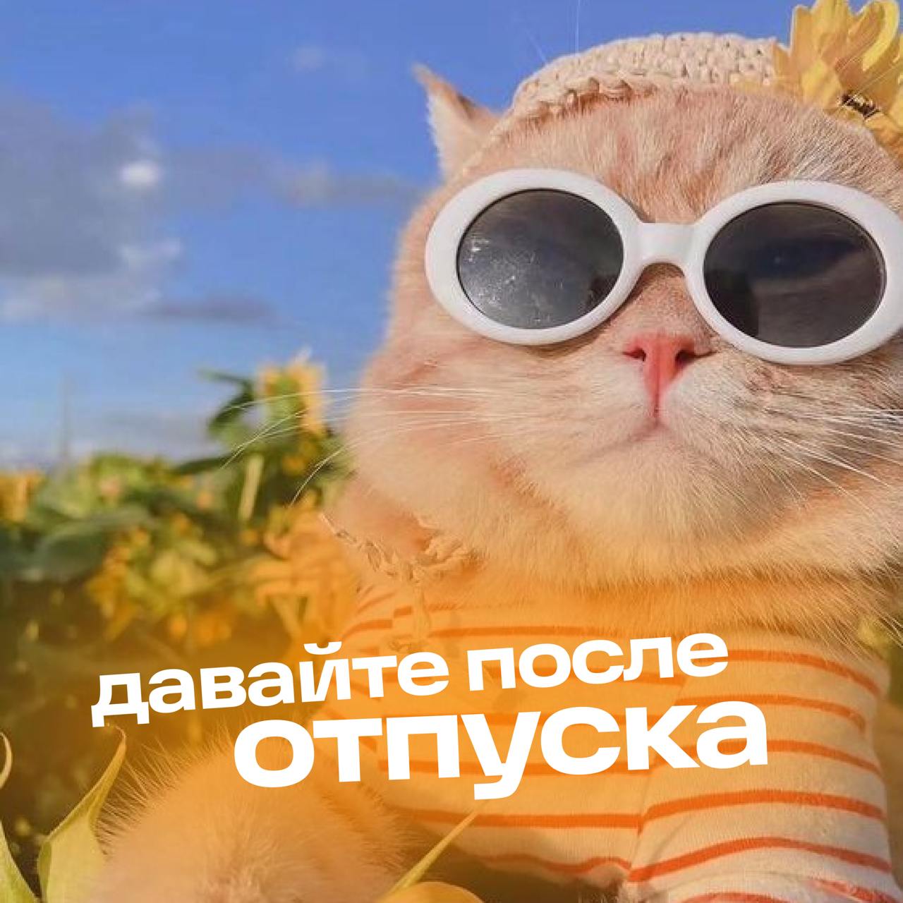 Друзья, улыбайтесь, друзья... солнышко светит... доброе-доброе солнышко всем, кто в отпуске | Сетка — социальная сеть от hh.ru