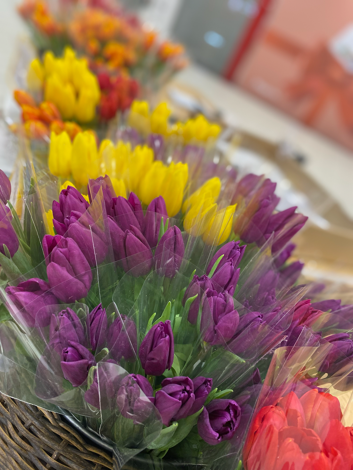 Проект за 4 дня | Сетка — социальная сеть от hh.ru