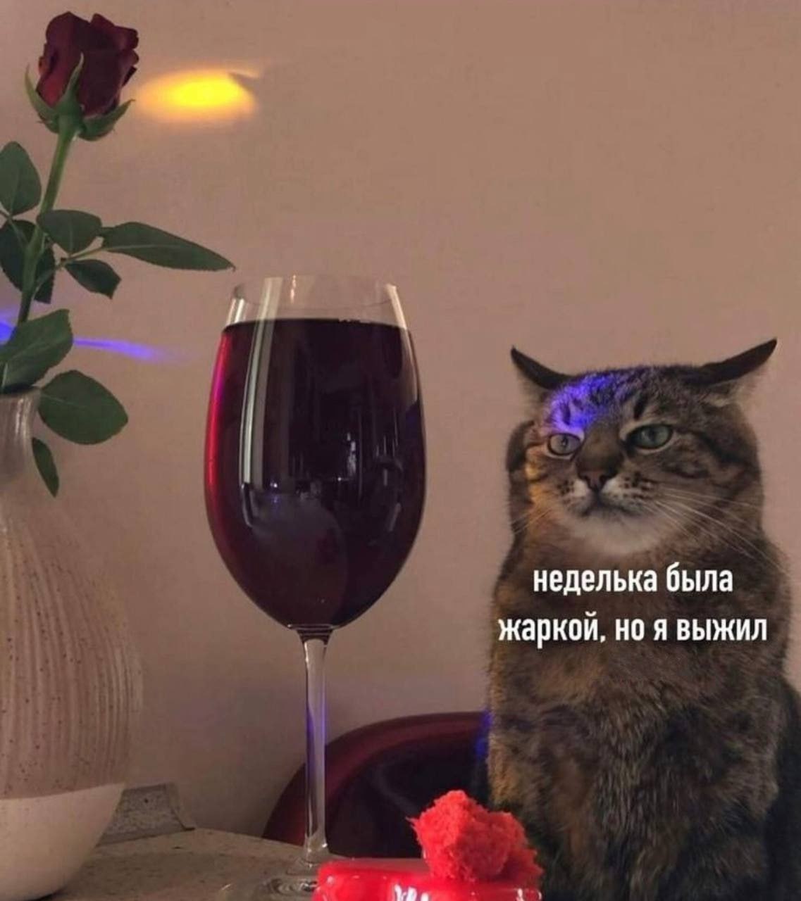 📊 KPI по мемам | Сетка — социальная сеть от hh.ru