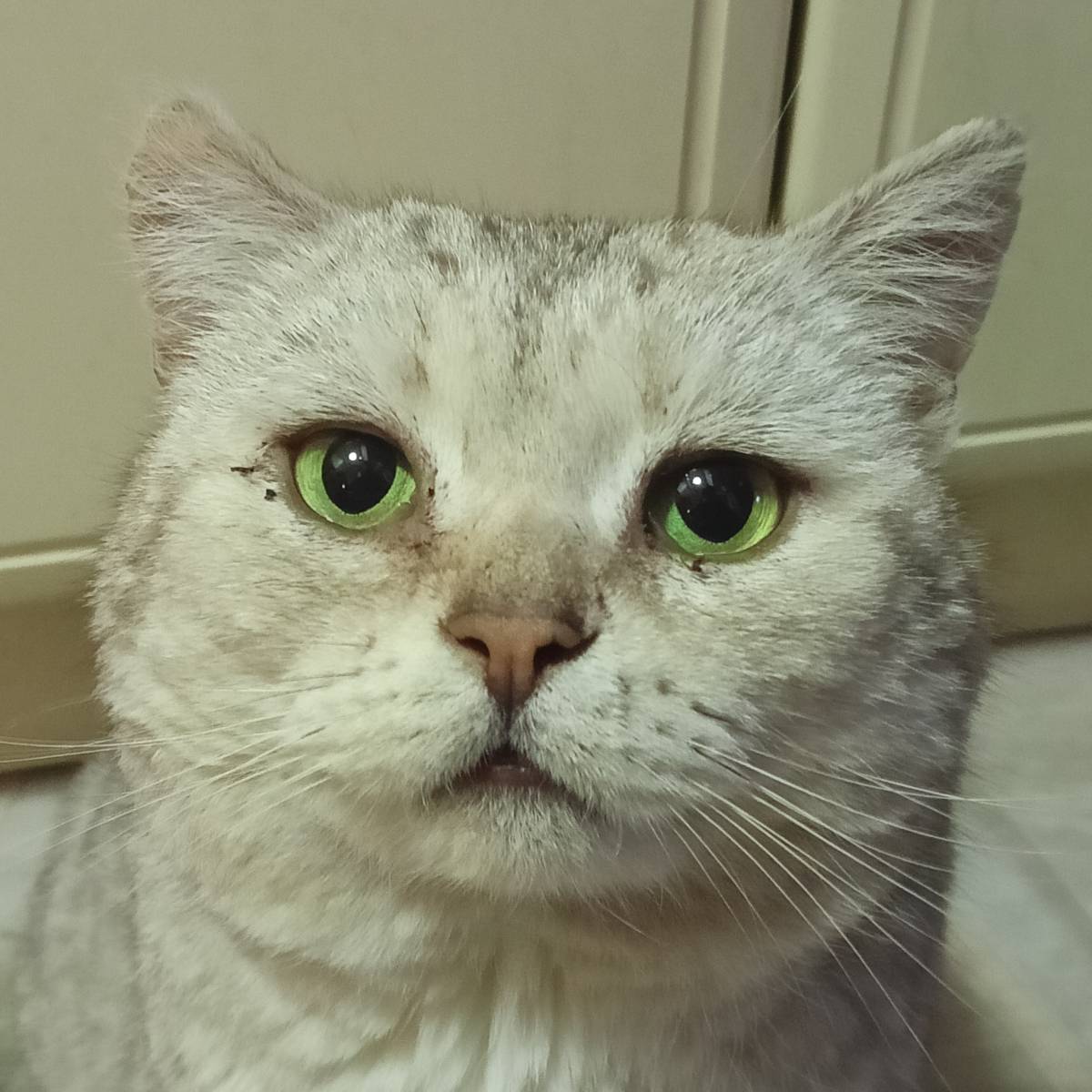 Григорий Волегов