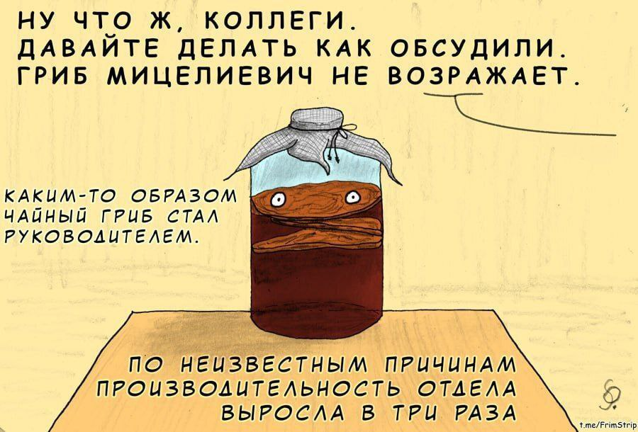 Какой хороший руководитель | Сетка — социальная сеть от hh.ru