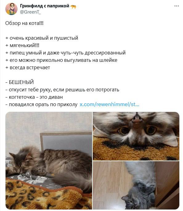 ⏱ Давно мы не поднимали вам настроение подборками угарных отзывов из сети.  
А ведь отдел ORM/SERM SMMagic всегда на передовой и муха не пролетит 🔫  
Приятного вечера 🥂
🐱 Ваша Я🔞Маркетинг без котиков | Сетка — социальная сеть от hh.ru