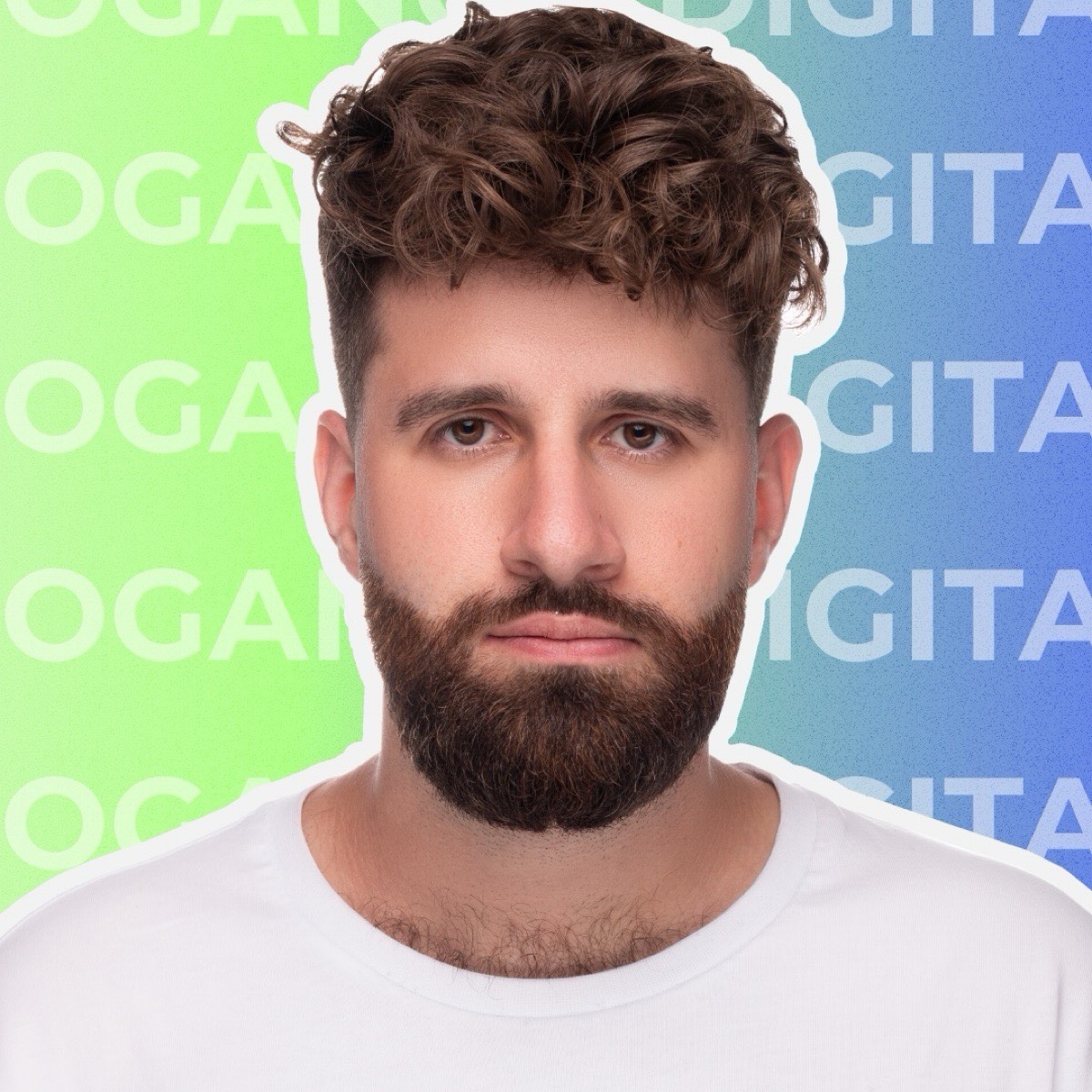 Авитолог.Эксперт