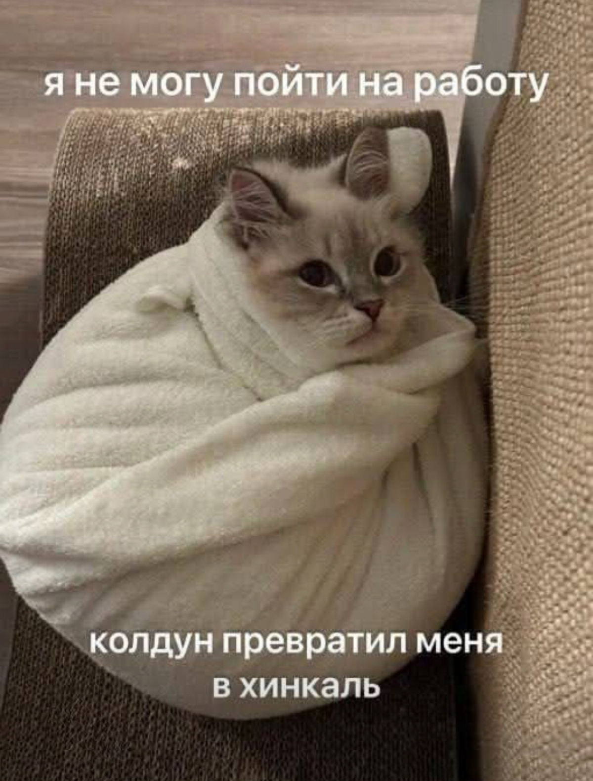 Хинкали | Сетка — социальная сеть от hh.ru