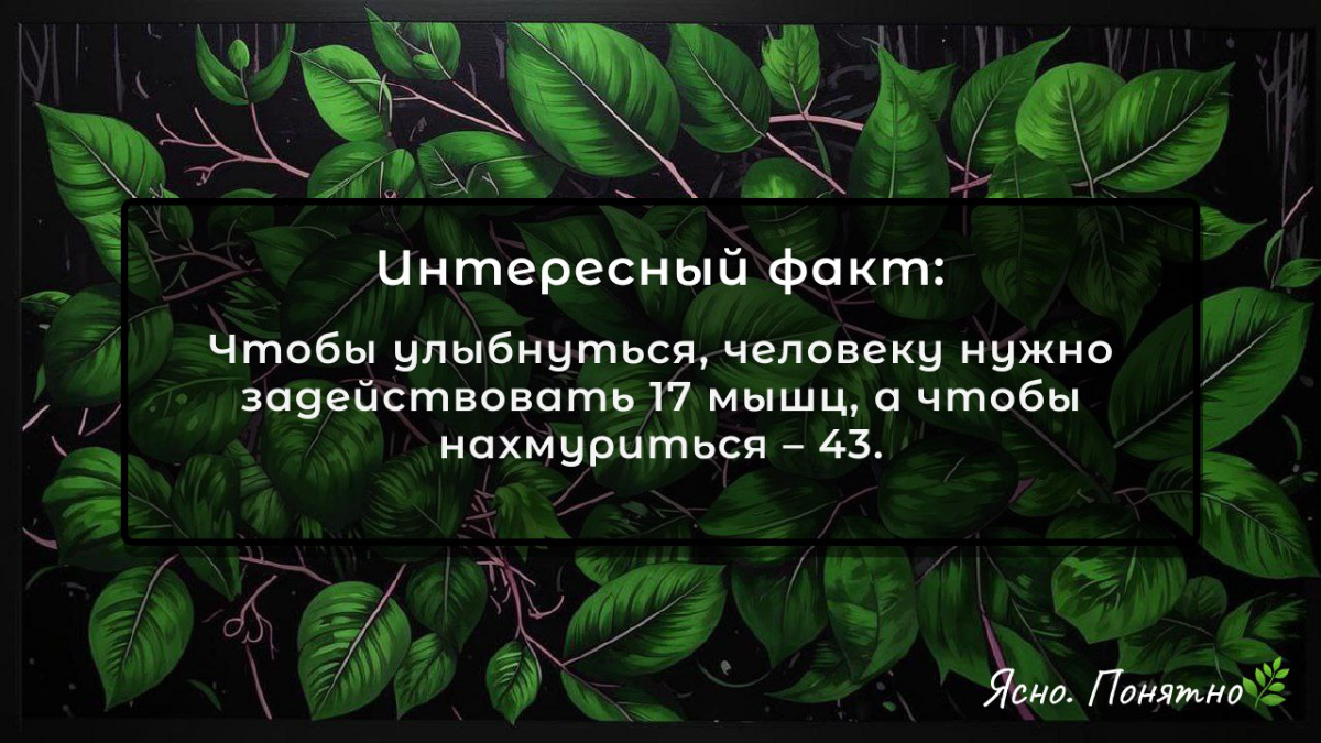 ☕️Кофе-пост: 5 цитат, которые подтвердят: вы — хорошие 😌 | Сетка — социальная сеть от hh.ru