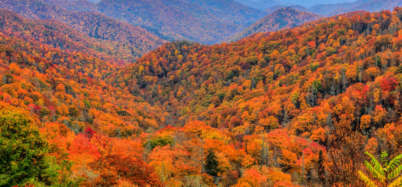 The Most and Least Visited National Parks of 2024
The United States National Parks are more popular than they’ve ever been, with new National Parks Service data from 2024 reporting over 331 million vi... | Сетка — социальная сеть от hh.ru