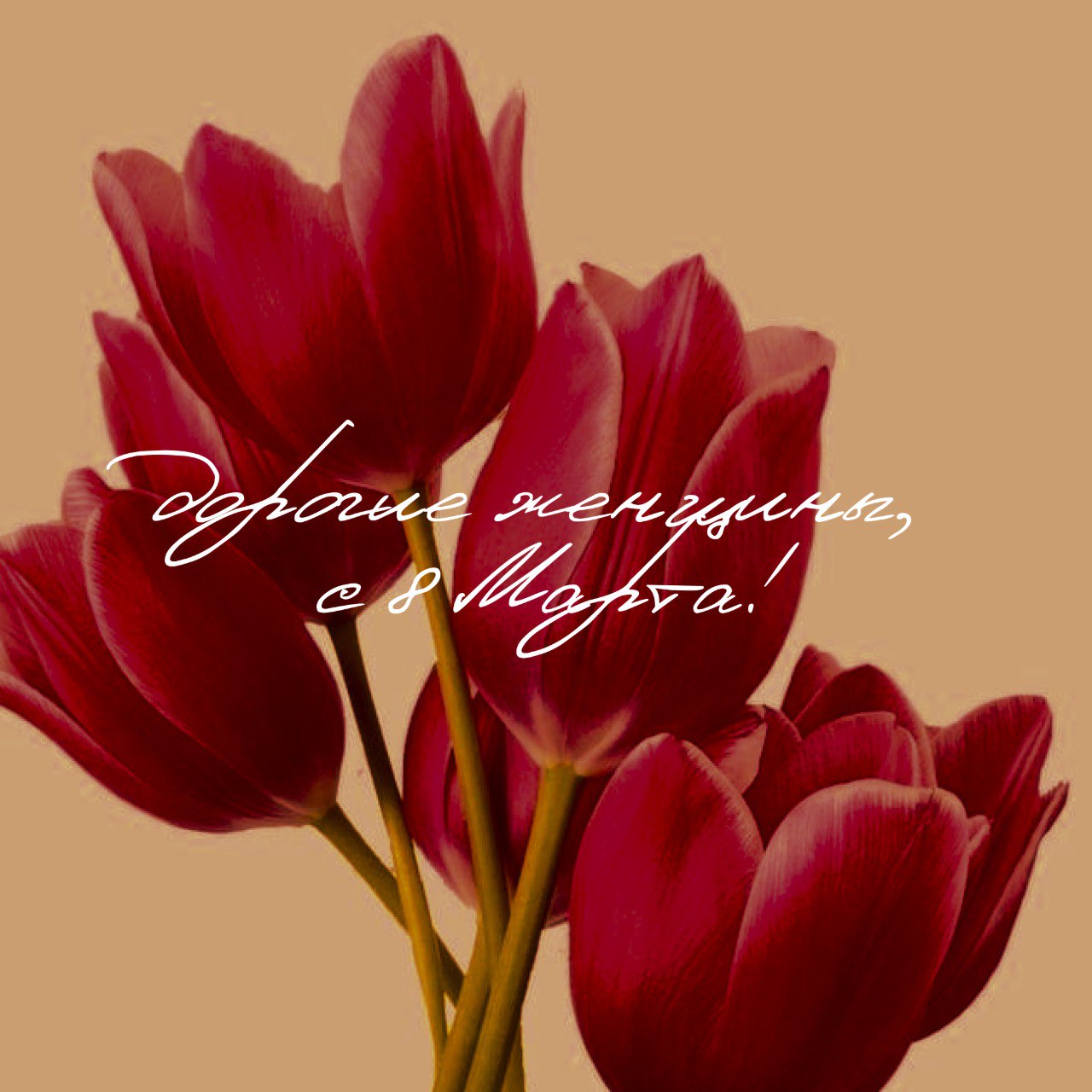 Прекрасные женщины, поздравляем вас с 8 Марта!🌼
Ваша энергия, смелость и умение вдохновлять делают мир ярче | Сетка — социальная сеть от hh.ru