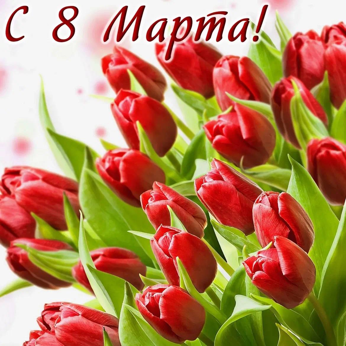 Девчонки, с 8 Марта! 🌸💖
Сегодня ваш день, и пусть он будет таким же классным, как вы сами! 🌟
Пусть цветы, комплименты и вкусняшки сами идут к вам в руки, а настроение будет на высоте! �🎉
Вы — наши вдо... | Сетка — социальная сеть от hh.ru