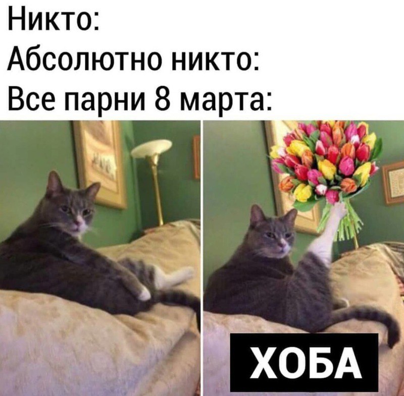 Маркетологини, предпринимательницы и вся прекрасная половина этого канала — с праздником вас!
Верю, что вы создаёте сильные бренды, меняете рынок, вдохновляете клиентов и ведёте команды к успеху | Сетка — социальная сеть от hh.ru