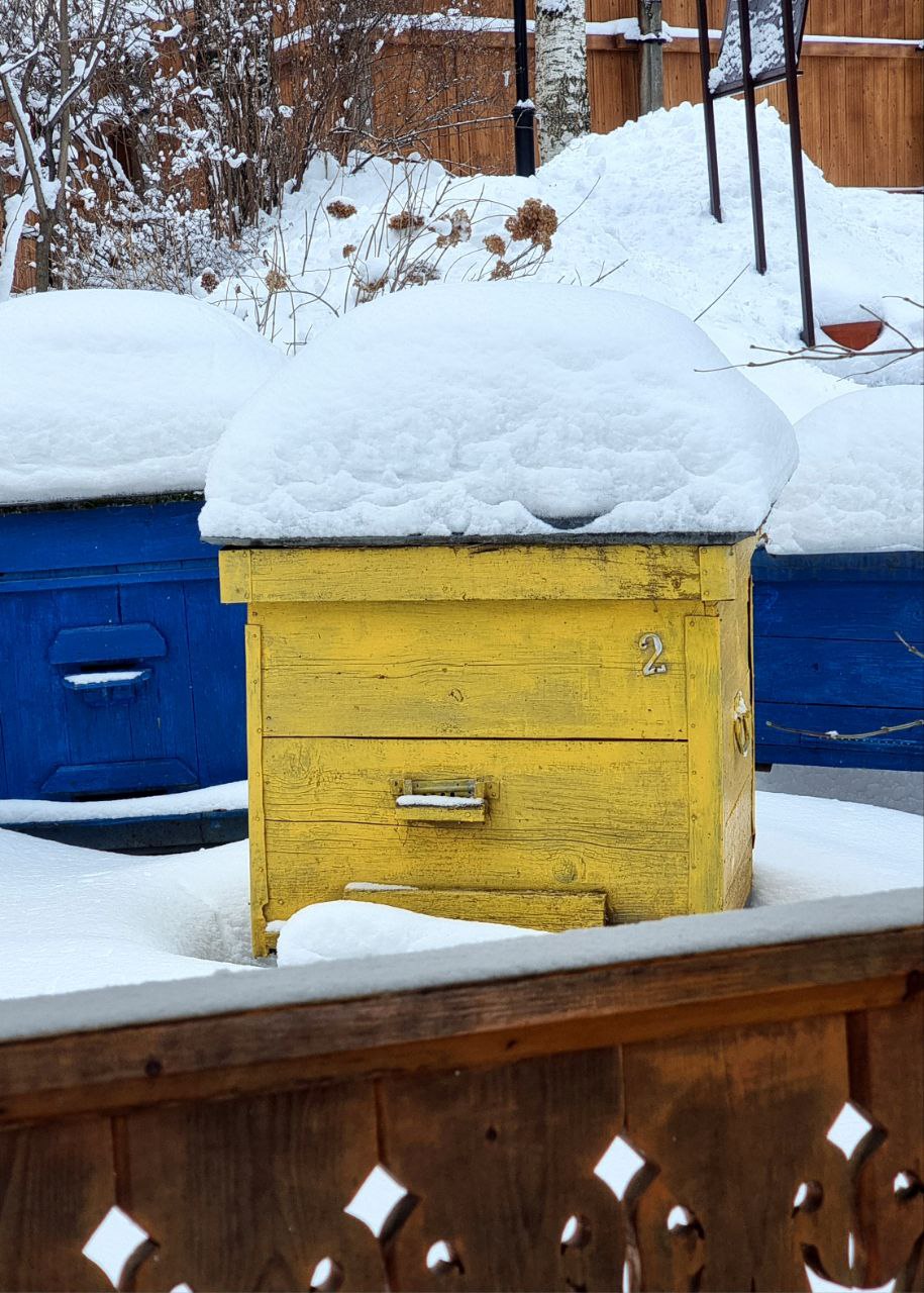 "Уважаемые Женщины! Товарищи!" - наверное, так должно было бы начинаться поздравление с сегодняшним праздником, если отдать дань истории и основоположницам интернационального женского движения | Сетка — социальная сеть от hh.ru