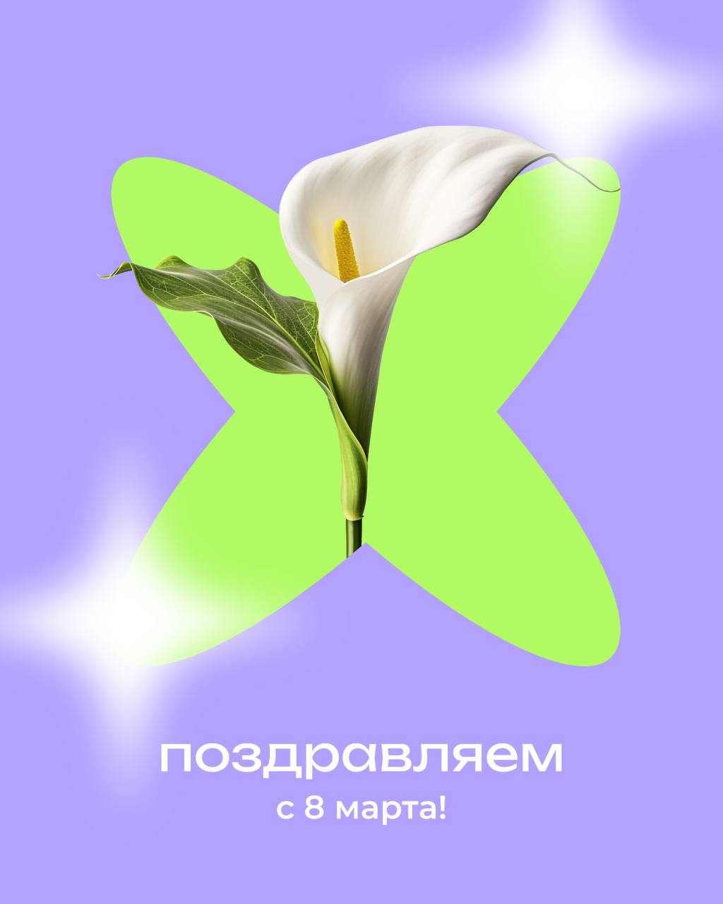 Дорогие девушки! 🌸
Поздравляем вас с 8 Марта — праздником, который олицетворяет весну, женственность и красоту
Пусть в вашей жизни всегда будет место для любви, радости и вдохновения
Желаем вам благоп... | Сетка — социальная сеть от hh.ru