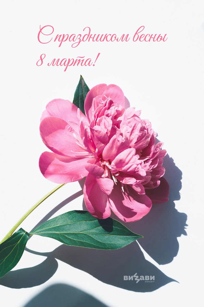 С 🌸🌸🌸, ВИЗАВИ Консалт.
#8марта | Сетка — социальная сеть от hh.ru