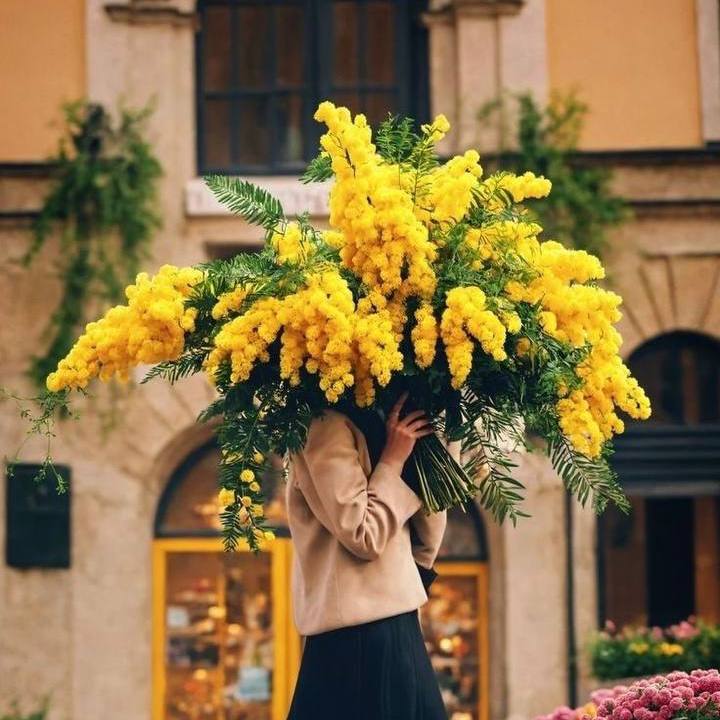 С 8 марта, продакт-леди!
Вы балансируете между фичами и техдолгом, бизнесом и пользователями, работой и жизнью.
Знаете, когда зарелизить проект, а когда отложить и просто выдохнуть | Сетка — социальная сеть от hh.ru