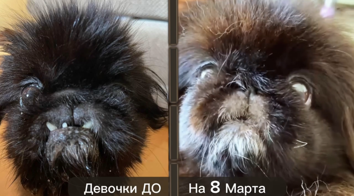 Поздравляю, кукусики | Сетка — социальная сеть от hh.ru