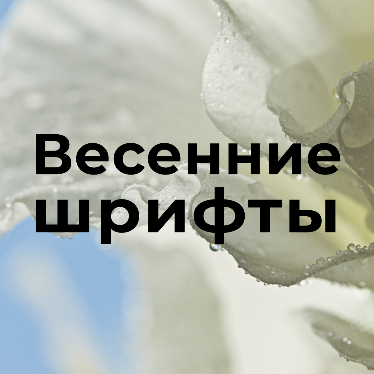 Весенние шрифты | Сетка — социальная сеть от hh.ru