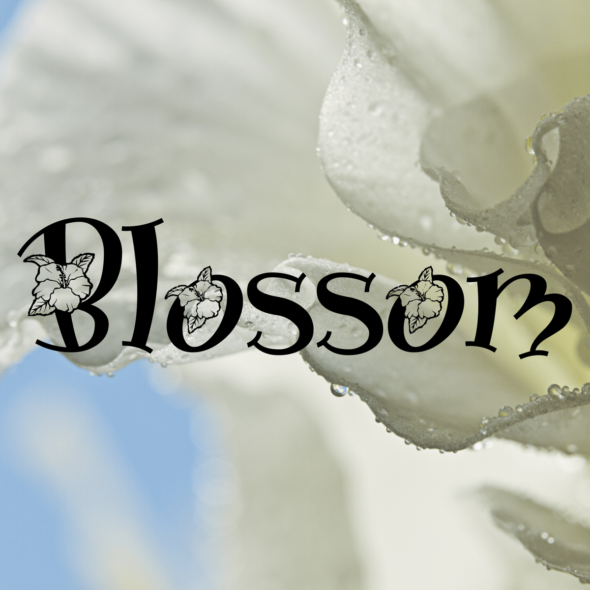 Весенние шрифты | Сетка — социальная сеть от hh.ru