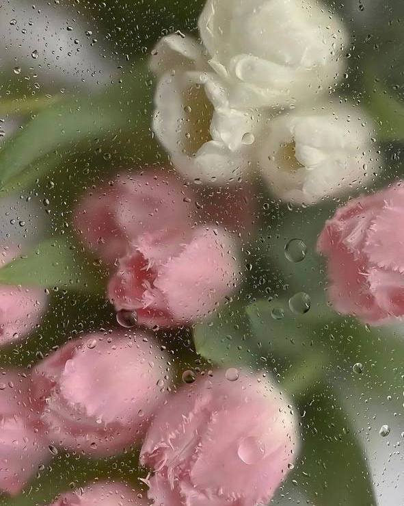 Вчера получился марафон эфиров о цветах и подарках 💐
Ничего не утаила, рассказала тонкости и секреты для трех медиа - чтобы сегодня, дорогие дамы, вас поздравили наилучшим образом!
Я очень старалась 💫... | Сетка — социальная сеть от hh.ru