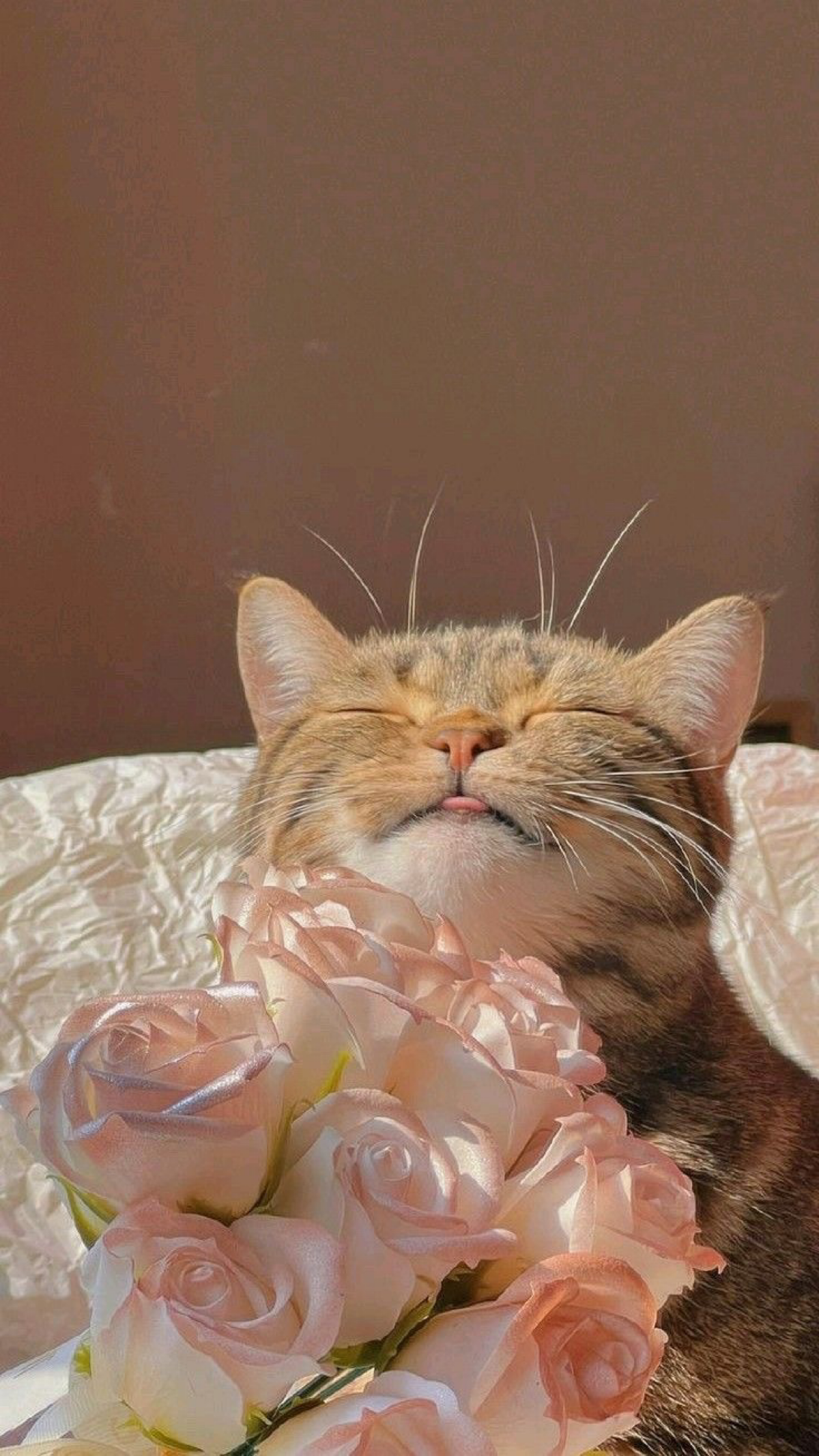 Милые дамы, с праздником вас! Будьте самыми счастливыми!💐 | Сетка — социальная сеть от hh.ru