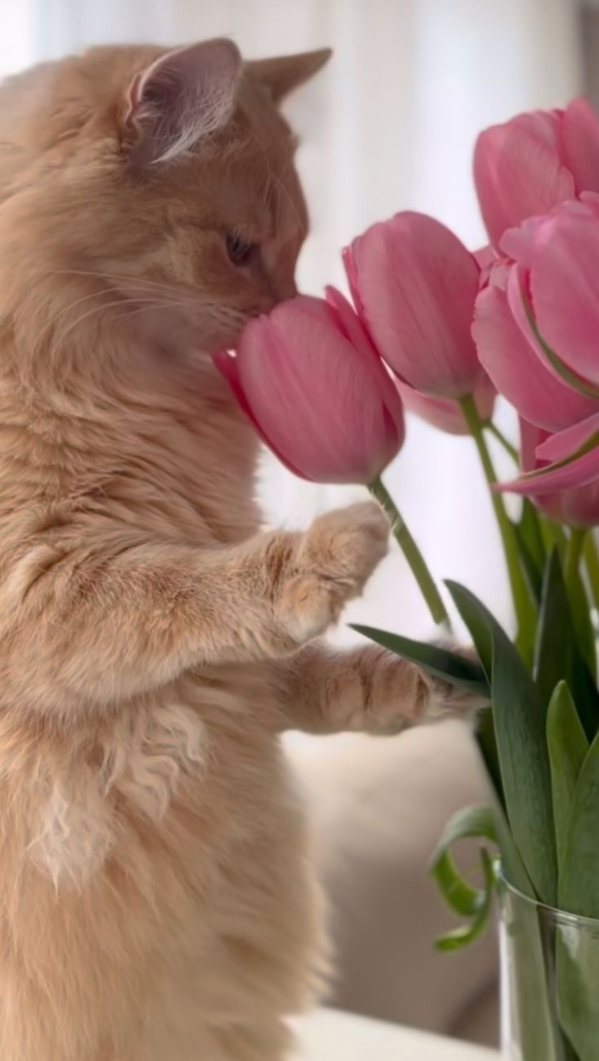 Милые дамы, с праздником вас! Будьте самыми счастливыми!💐 | Сетка — социальная сеть от hh.ru