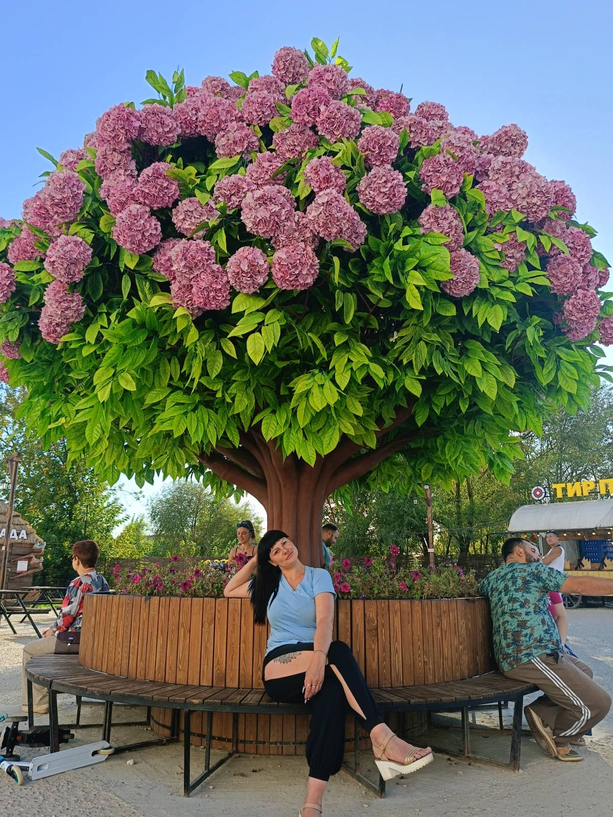 Елена Кулик