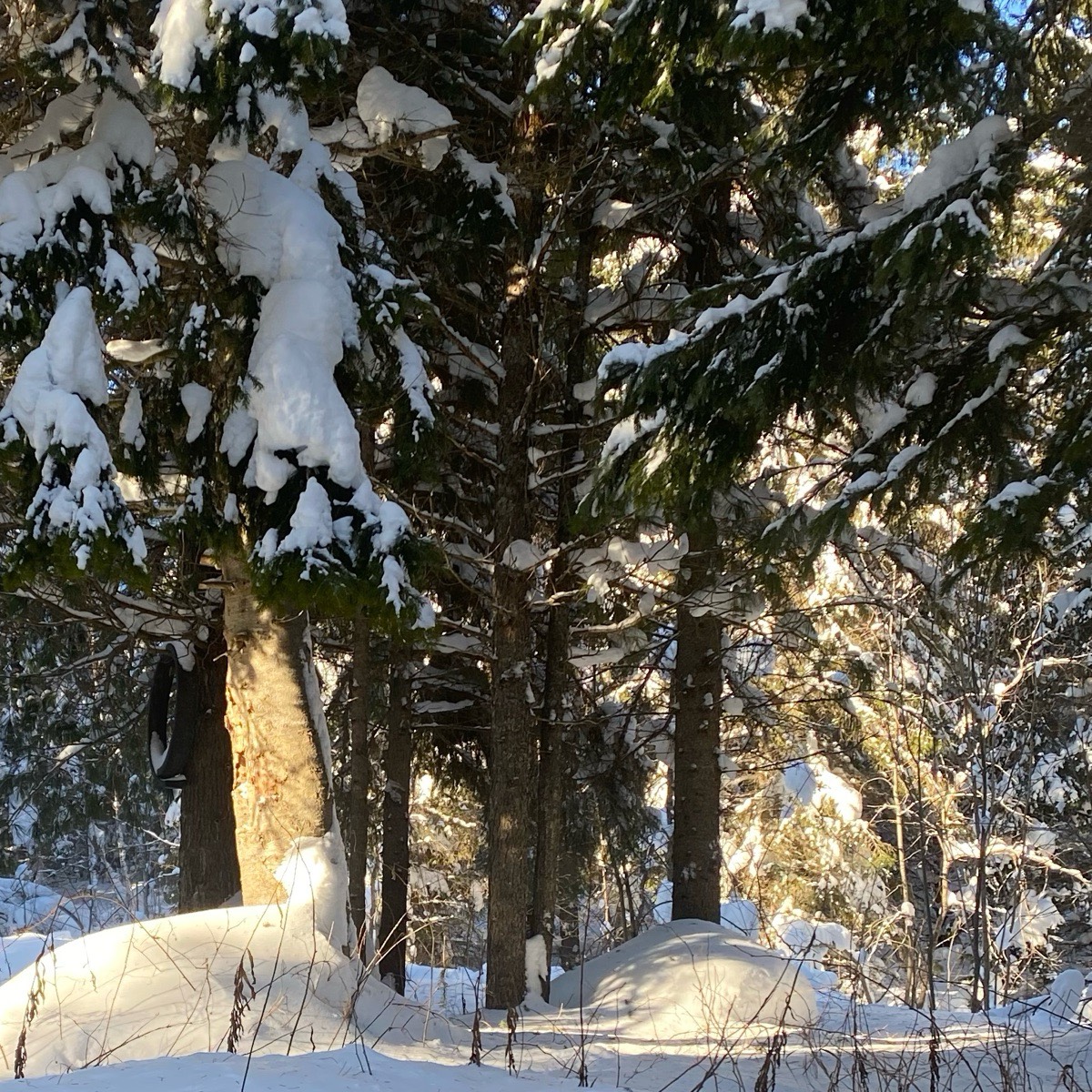 Анастасия Кузнецова