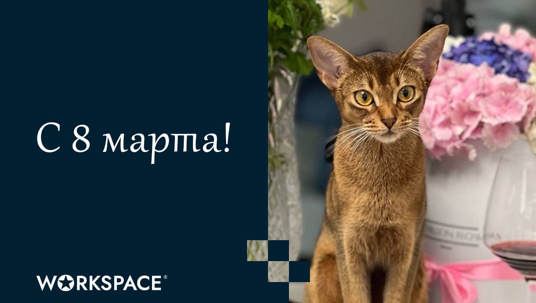 Дорогие наши! Вы прекрасны 🤩
Восхищаемся вашей силой – в кейсах, в тендерах, в проектах! Пусть в вашей жизни всегда будет место для вдохновения, радости и больших побед | Сетка — социальная сеть от hh.ru