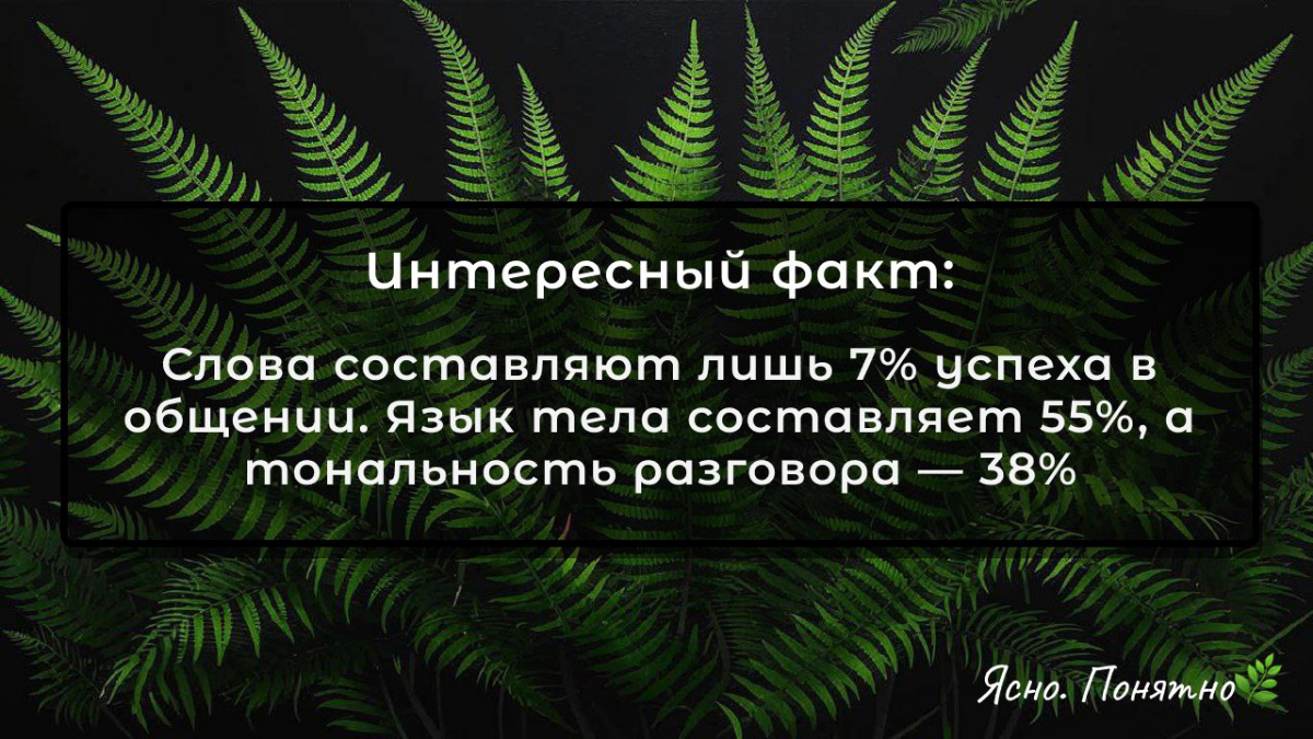 Как заговорить и не усыпить собеседника | Сетка — социальная сеть от hh.ru