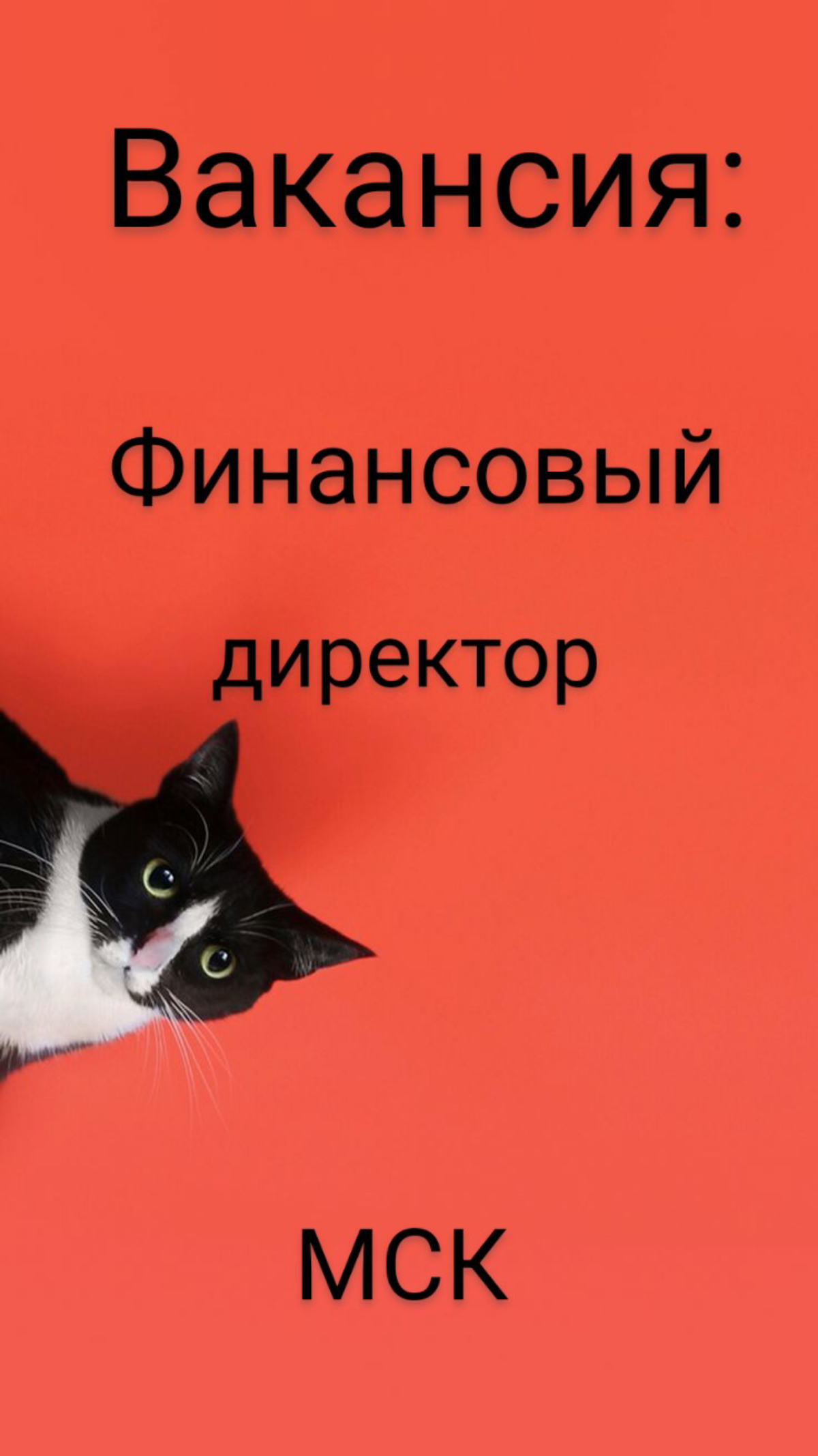 #ВАКАНСИЯ: Финансовый директор Группы Компаний СНС // от 800 000 ₽ за месяц до вычета налогов
КОМПАНИЯ: СНС, Группа компаний
ЛОКАЦИЯ:
ЗАДАЧИ:
•  управление финансовым департаментом ГК СНС до 80 чел | Сетка — социальная сеть от hh.ru