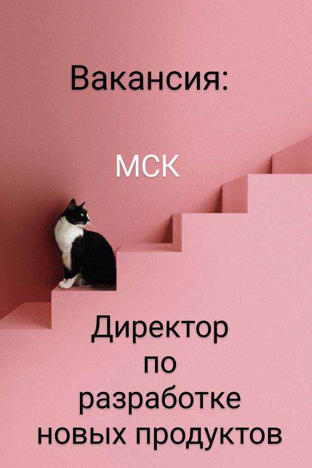 #ВАКАНСИЯ: Директор по разработке новых продуктов // до 500 000 ₽ за месяц до вычета налогов
КОМПАНИЯ: СНС, Группа компаний
ЛОКАЦИЯ: Москва
ЗАДАЧИ:
•  управление и плотное ведение проектов разработок ... | Сетка — социальная сеть от hh.ru