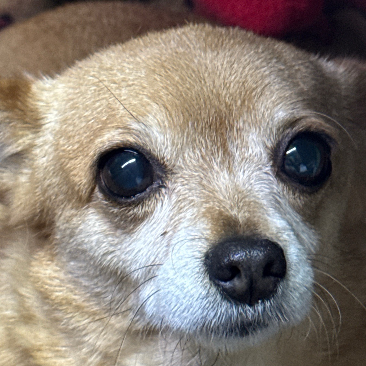 Игорь Никитин | Сетка — социальная сеть от hh.ru