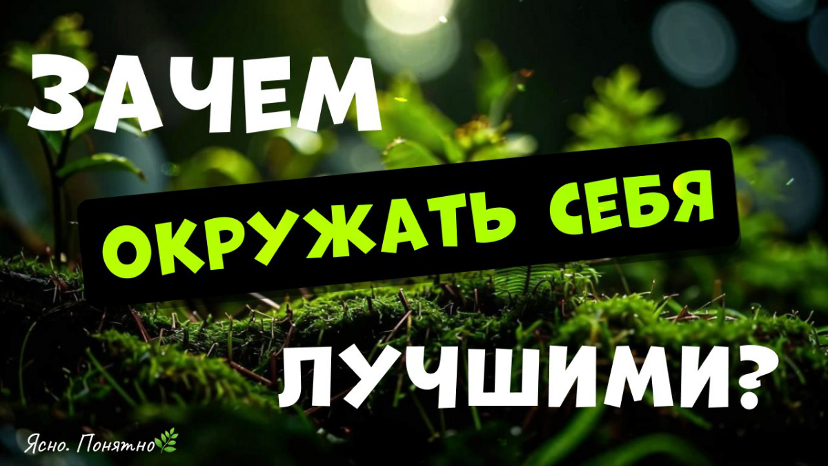 Почему важно окружать себя лучшими? | Сетка — социальная сеть от hh.ru