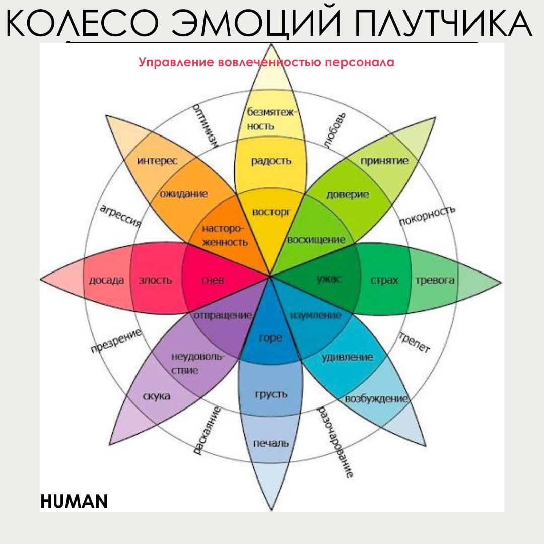📊Колесо эмоций в HR: управляем вовлеченностью
💡Коллеги, как мы знаем, эмоции — наш скрытый рычаг управления вовлеченностью | Сетка — социальная сеть от hh.ru