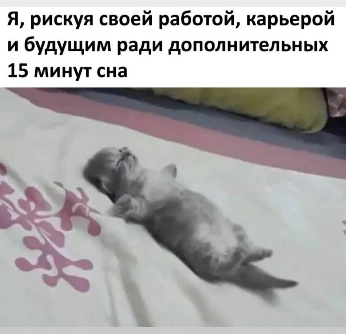 Всех с новой трудовой неделей! 🐝😎🫶🔆 | Сетка — социальная сеть от hh.ru