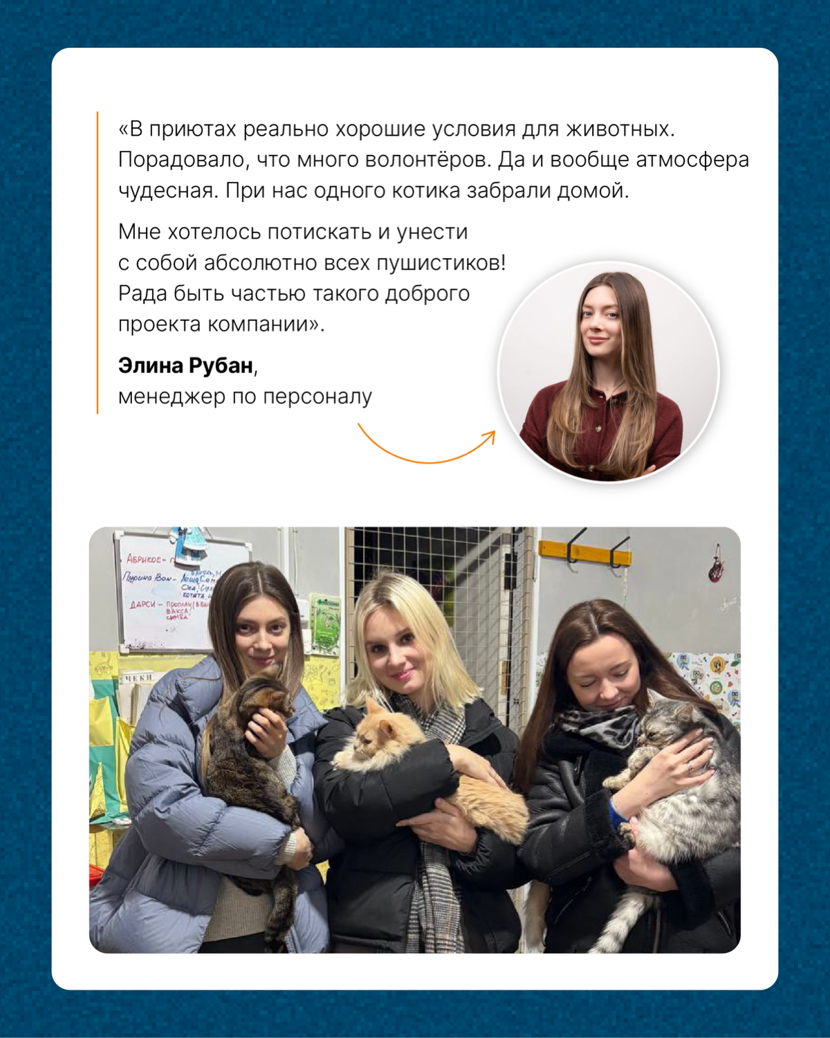 Наши сердца тают при виде пушистых лапок и добрых глаз. Любим животных и при возможности помогаем тем, которые особенно в этом нуждаются | Сетка — социальная сеть от hh.ru