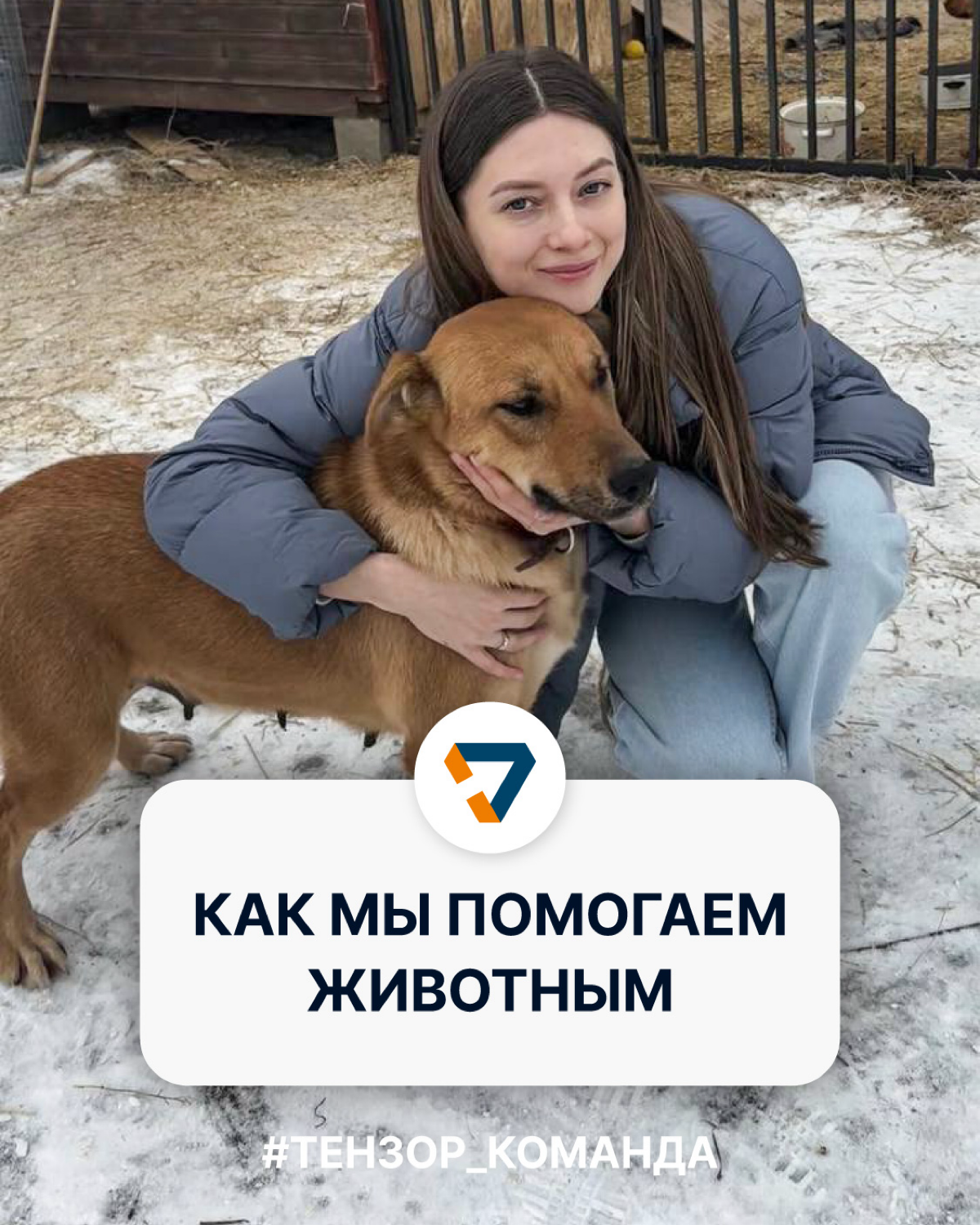 Наши сердца тают при виде пушистых лапок и добрых глаз. Любим животных и при возможности помогаем тем, которые особенно в этом нуждаются | Сетка — социальная сеть от hh.ru