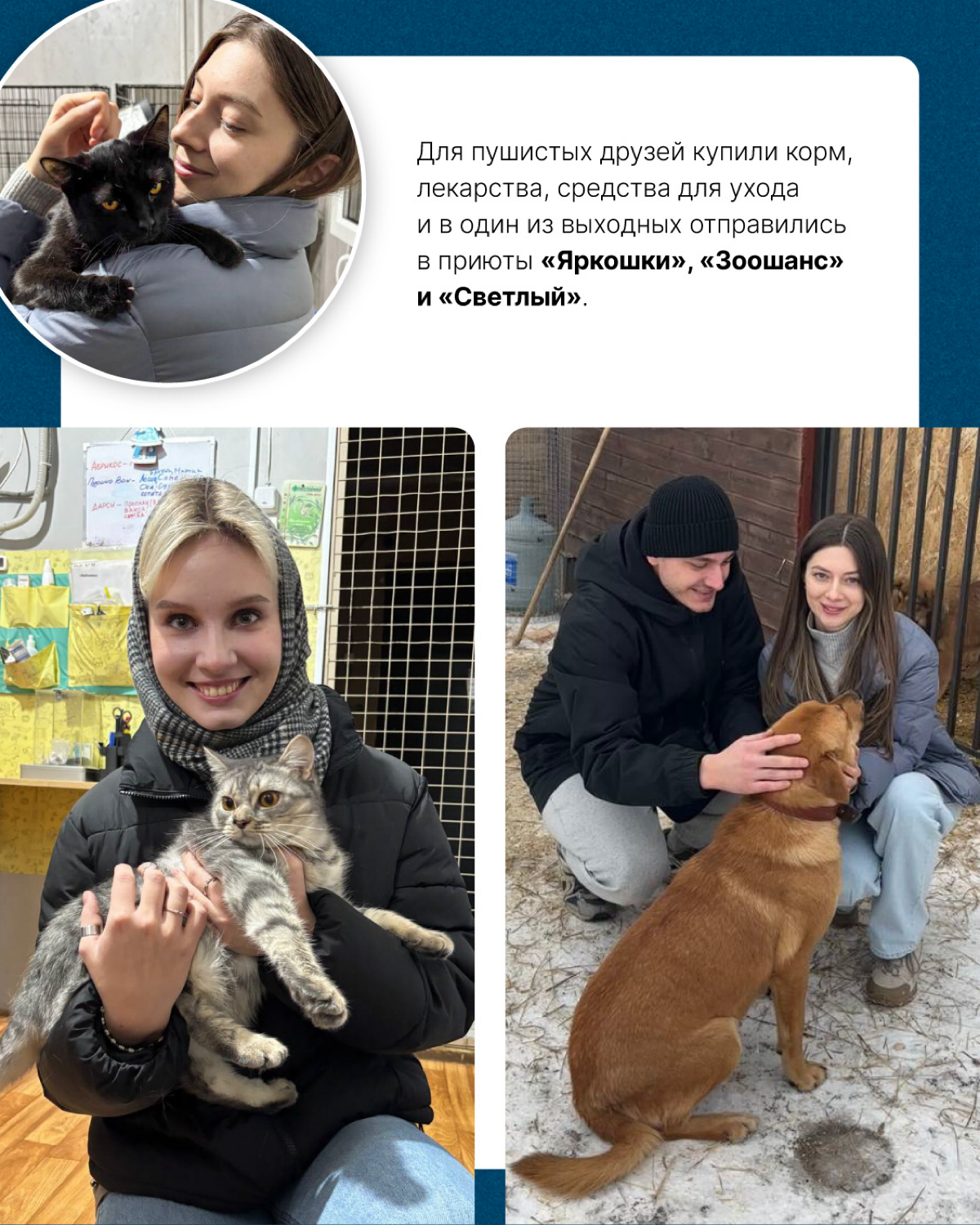 Наши сердца тают при виде пушистых лапок и добрых глаз. Любим животных и при возможности помогаем тем, которые особенно в этом нуждаются | Сетка — социальная сеть от hh.ru