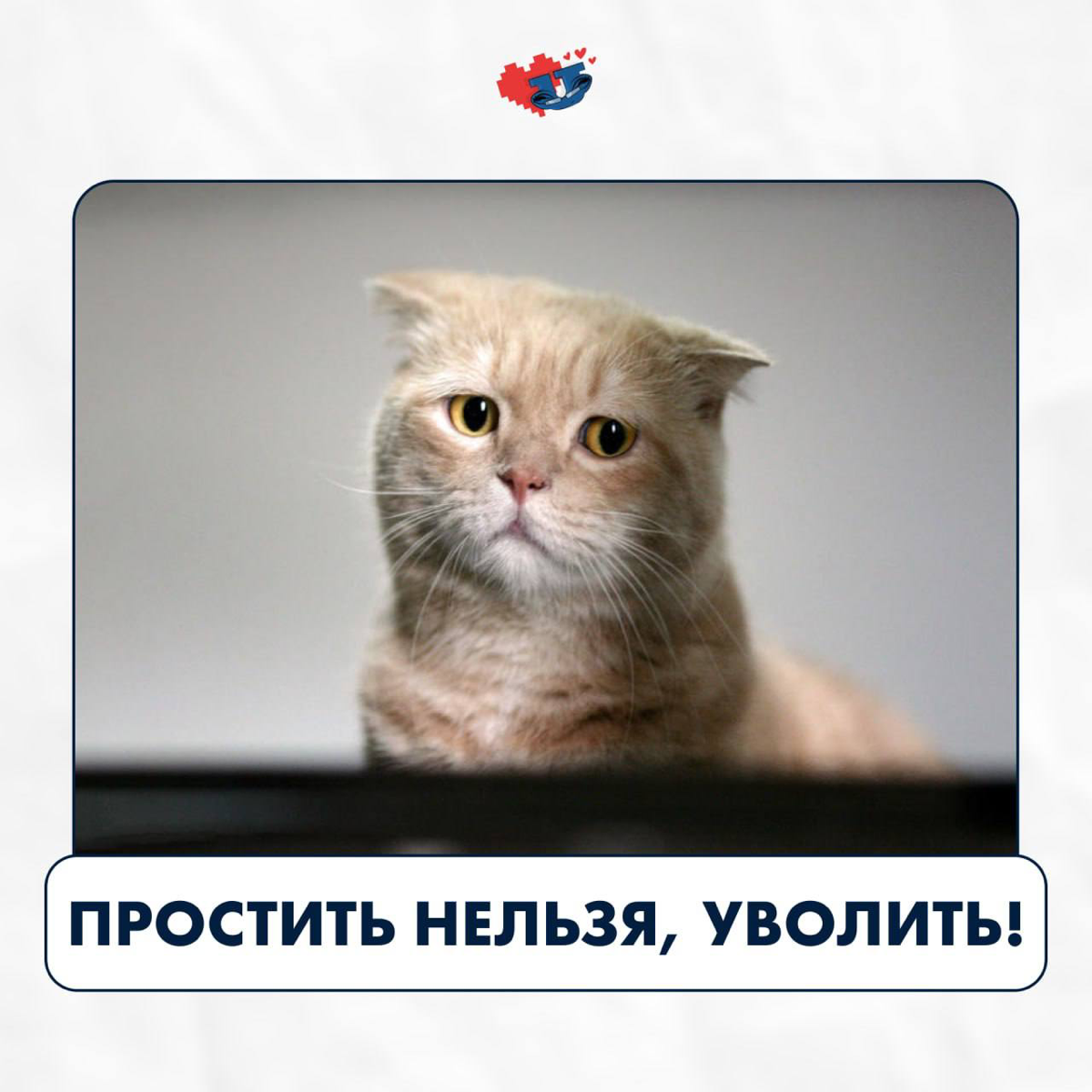"Ты мне не нравишься, ты уволен!" | Сетка — социальная сеть от hh.ru