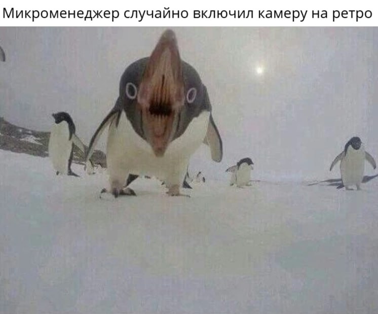#мемы в понедельник
Потому что могу | Сетка — социальная сеть от hh.ru
