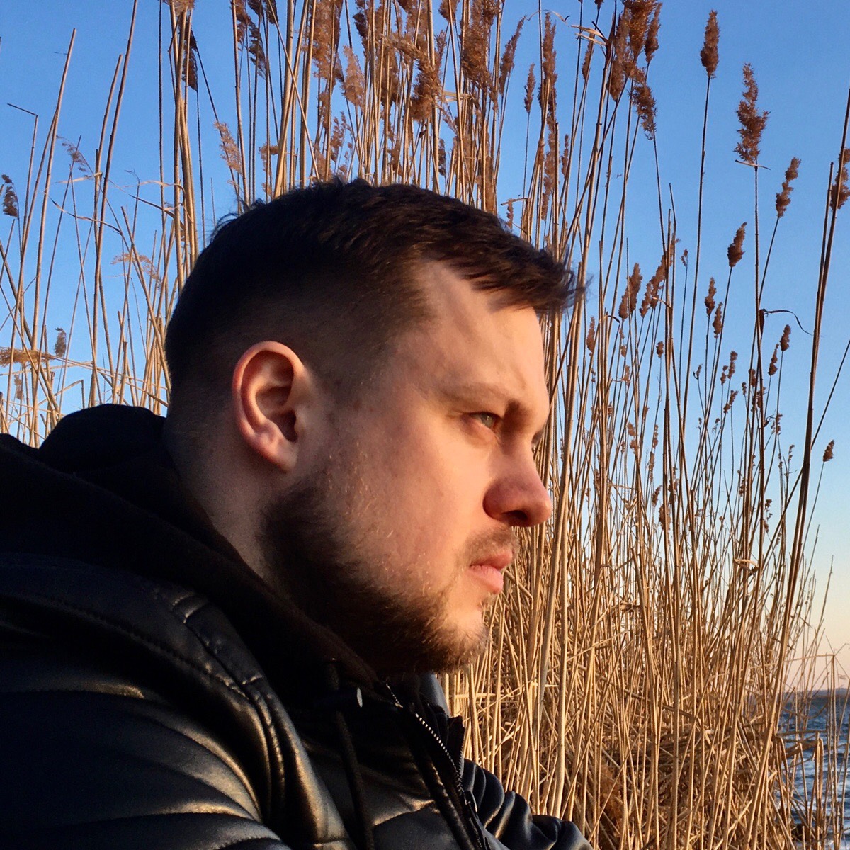 Антон Сатышев | Сетка — социальная сеть от hh.ru