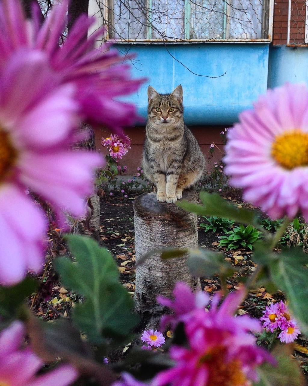 Весенние краски Ставрополья
📸@southdreams
@stavropolyevibe | Сетка — социальная сеть от hh.ru