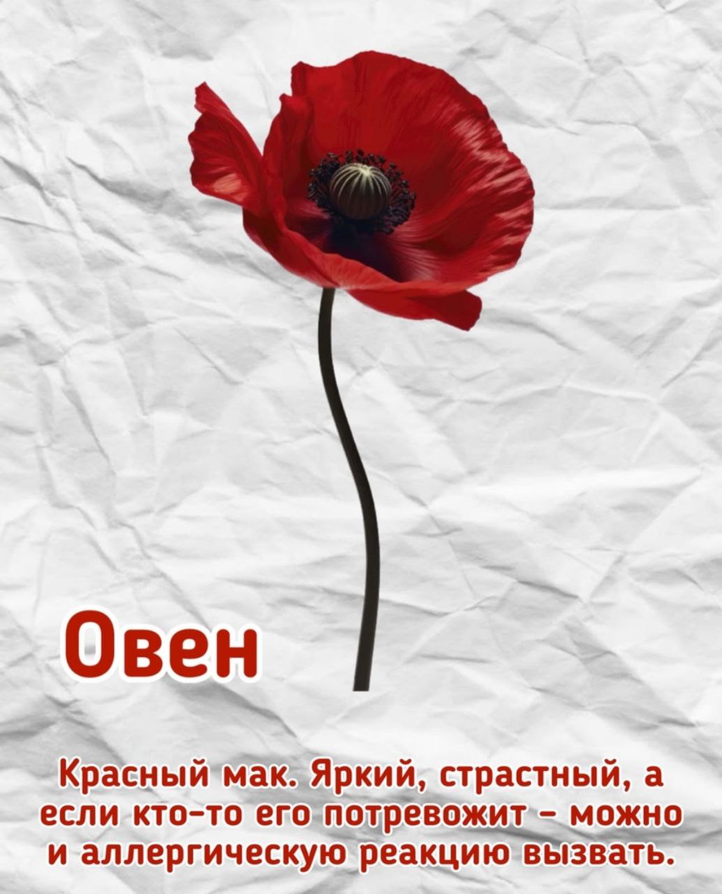 🔴🔴🔴🔴🔴
🔴🔴
🔴🔴🔴🔴🔴🔴
🔴🔴
🔴🔴🔴🔴🔴
🔴🔴🔴🔴🔴🔴🔴
Узнали себя?
Пишите в комментариях | Сетка — социальная сеть от hh.ru