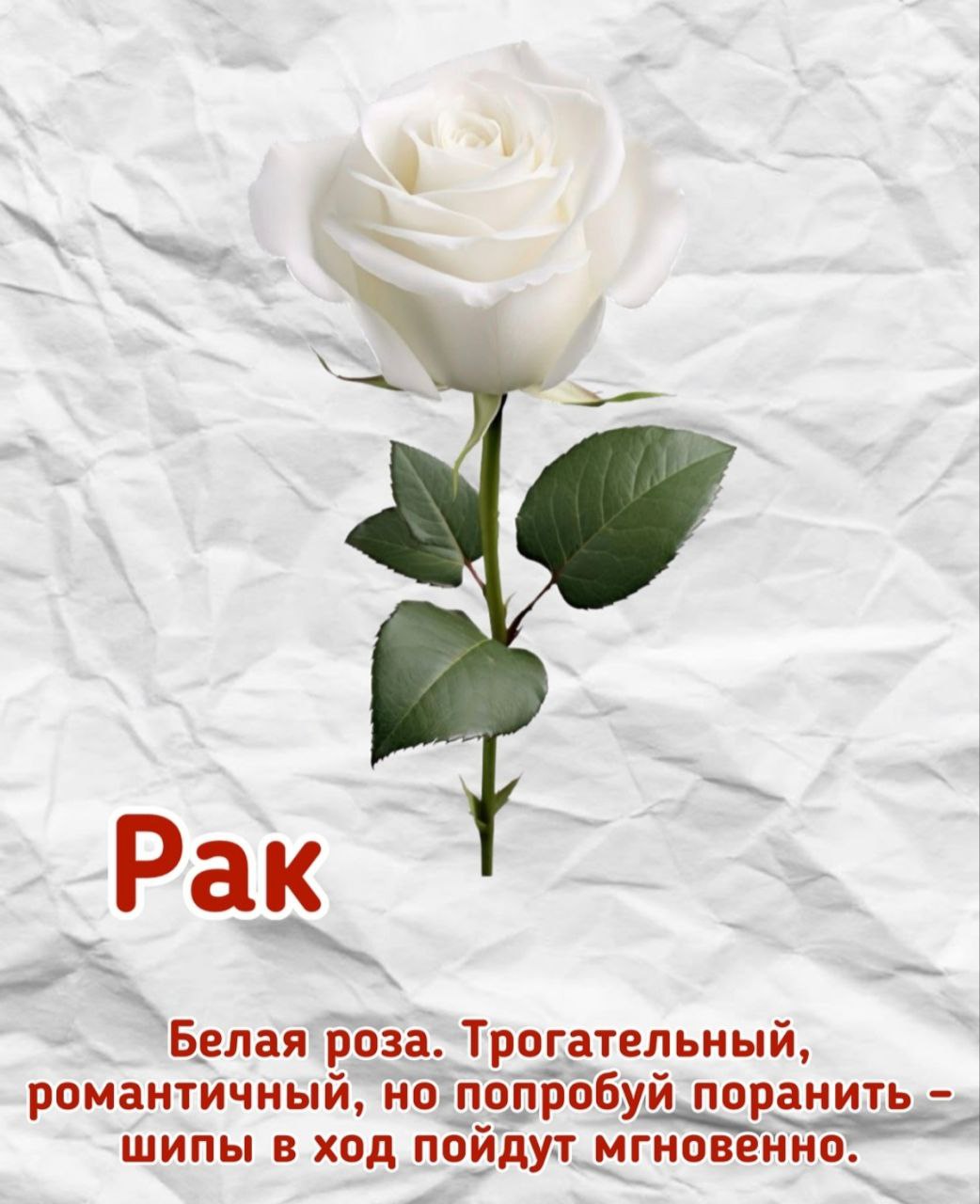 🔴🔴🔴🔴🔴
🔴🔴
🔴🔴🔴🔴🔴🔴
🔴🔴
🔴🔴🔴🔴🔴
🔴🔴🔴🔴🔴🔴🔴
Узнали себя?
Пишите в комментариях | Сетка — социальная сеть от hh.ru