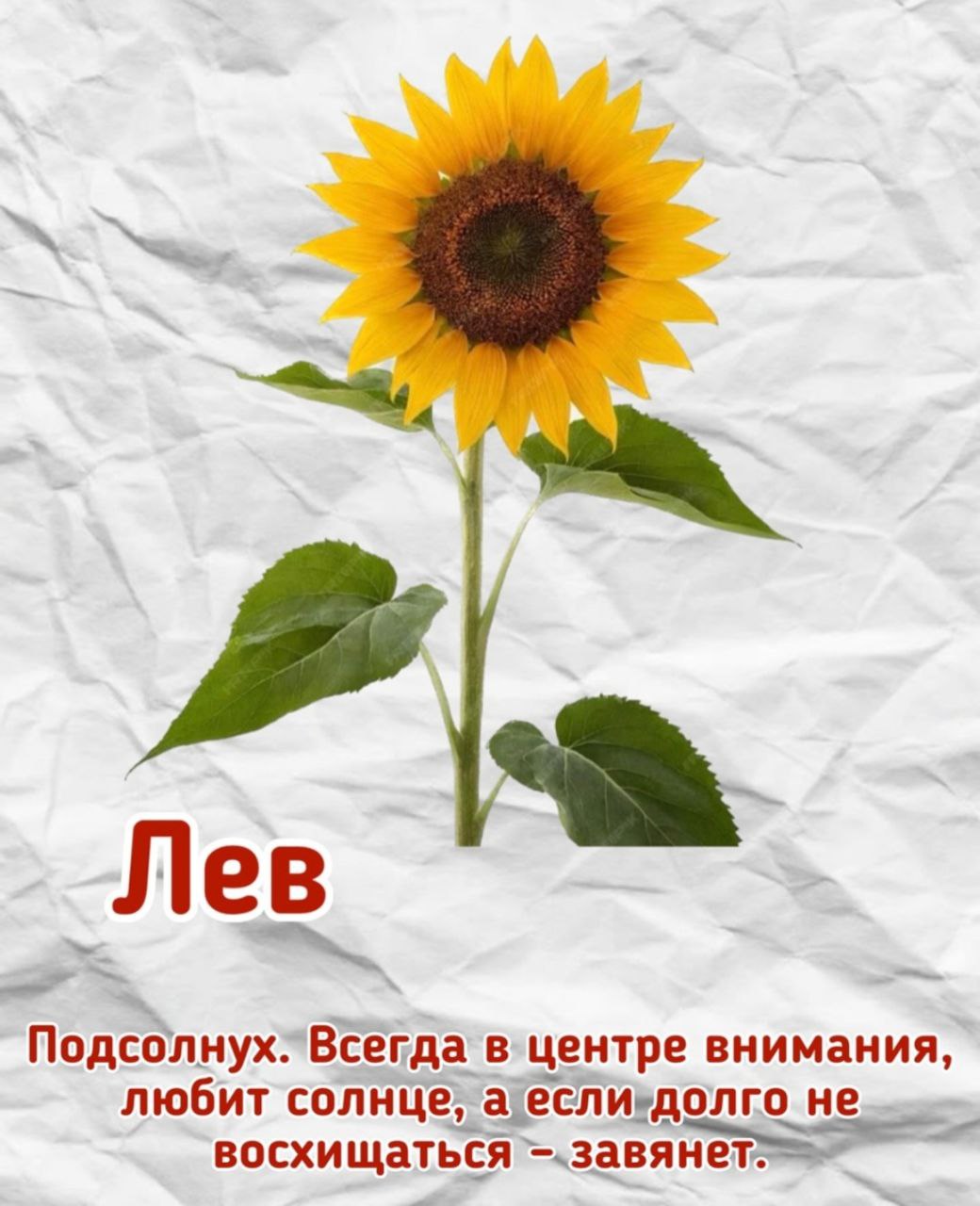 🔴🔴🔴🔴🔴
🔴🔴
🔴🔴🔴🔴🔴🔴
🔴🔴
🔴🔴🔴🔴🔴
🔴🔴🔴🔴🔴🔴🔴
Узнали себя?
Пишите в комментариях | Сетка — социальная сеть от hh.ru