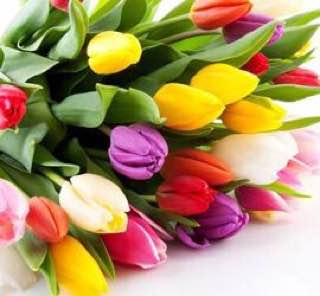 #изпрактики 
Радостная новость: Наша почерковедческая экспертиза помогла клиенту выиграть суд.
Но не все так просто | Сетка — социальная сеть от hh.ru