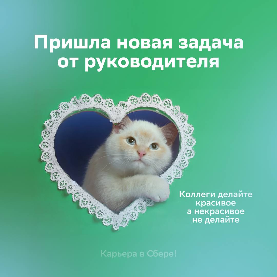 Если спросят про подход к работе, то ТЗ от босса и красивый результат скажут всё за нас!
Ставь лайк и отправляй мем друллеге, который тоже считает, что краткость — сестра таланта. | Сетка — социальная сеть от hh.ru