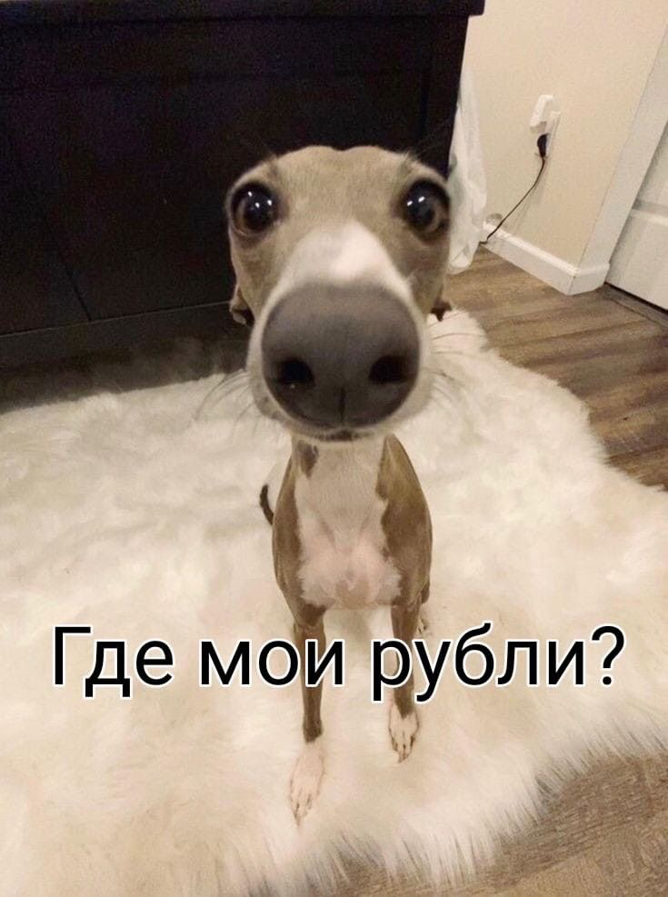 Как понять, что ваш продукт действительно нужен рынку? 🚀🤫 | Сетка — социальная сеть от hh.ru